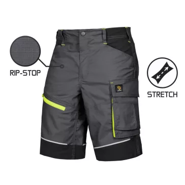   Pantaloni scurți care vor fi cei mai buni prieteni ai tăi la muncă. Procera Lido Grey