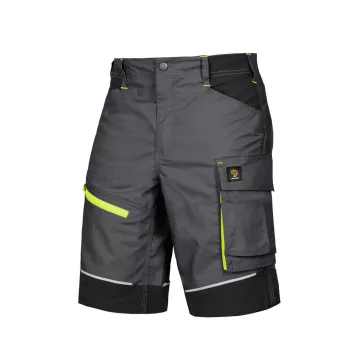   Pantaloni scurți care vor fi cei mai buni prieteni ai tăi la muncă. Procera Lido Grey